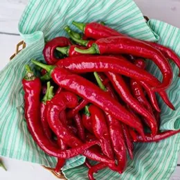 Peperone rosso